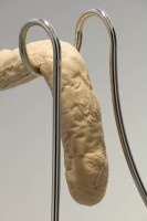 https://www.hannahslevy.com:443/files/gimgs/th-17_5_ HL-016-17_Untitled, 2017, nickel plated steel, silicone, 80_1 (h) x 190_5 x 61 cm (detail).jpg